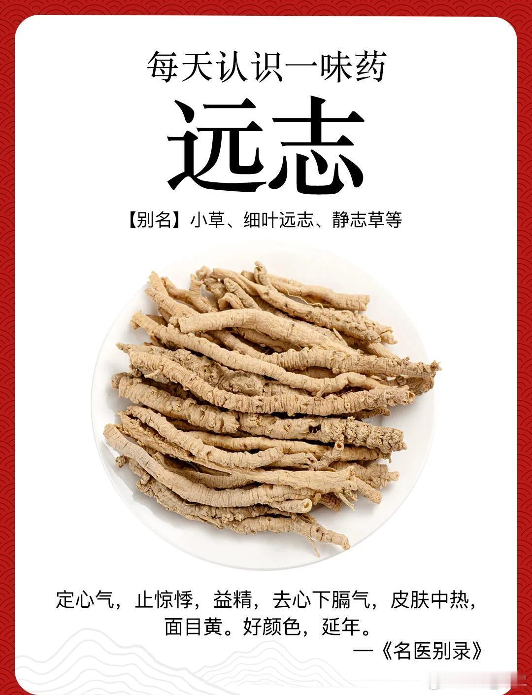 远志微用益心论——以“少火生气”析君主用药之妙昔《神农本草经》载远志“主咳逆伤中