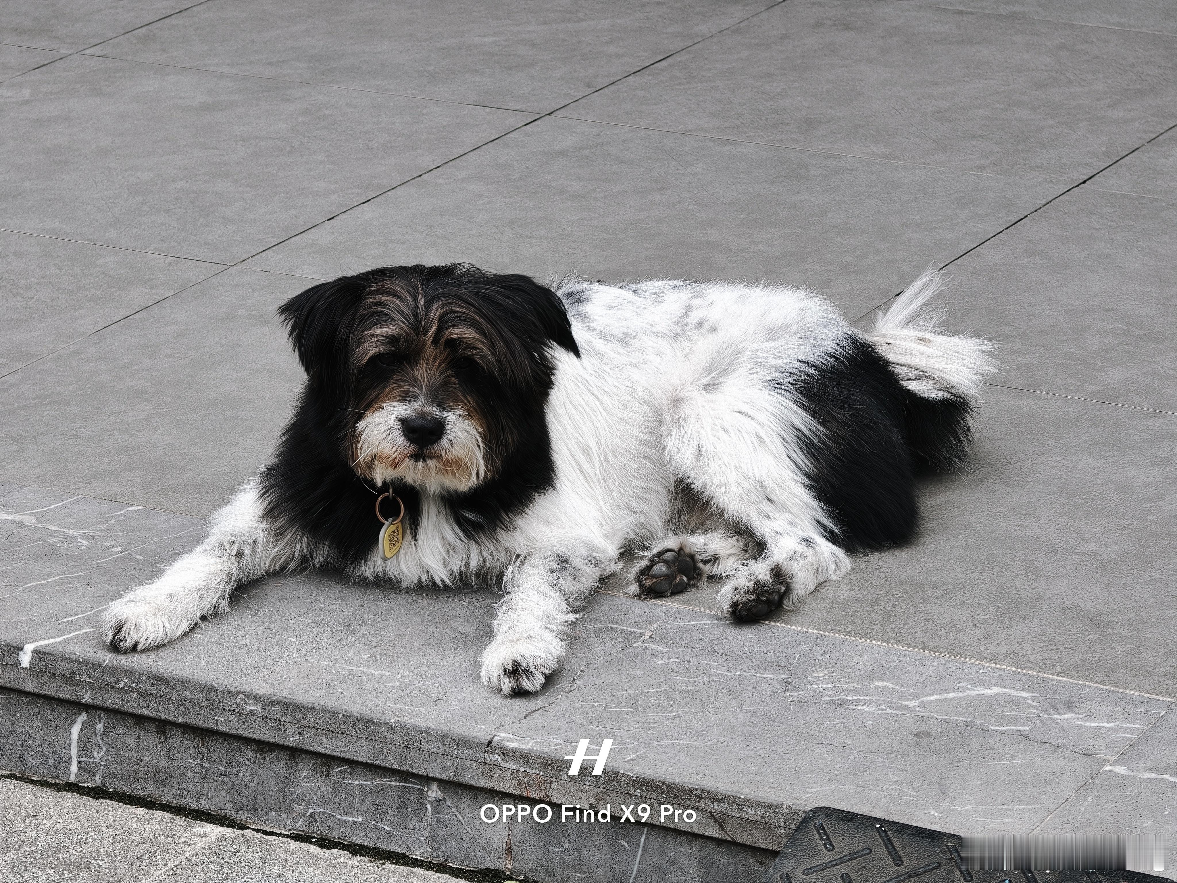 这几天的天气真的很舒服不冷不热，广州一年里没几天这样舒服的天气。这种天气最适合就