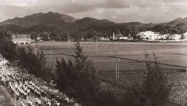 1978年，深圳女子嫌丈夫配不上自己，离婚多次，丈夫一直没同意。她用7年时间挥霍
