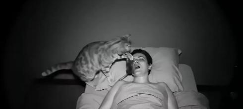 男子经常投喂一只流浪猫，这两天因为感冒发烧浑身疼躺在家里休息没有去喂它。流浪猫来