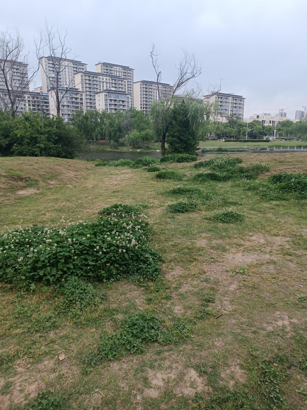 我妹妹56岁住着360平的大平层，家里还有保姆伺候，我却觉得她活得太可怜。​