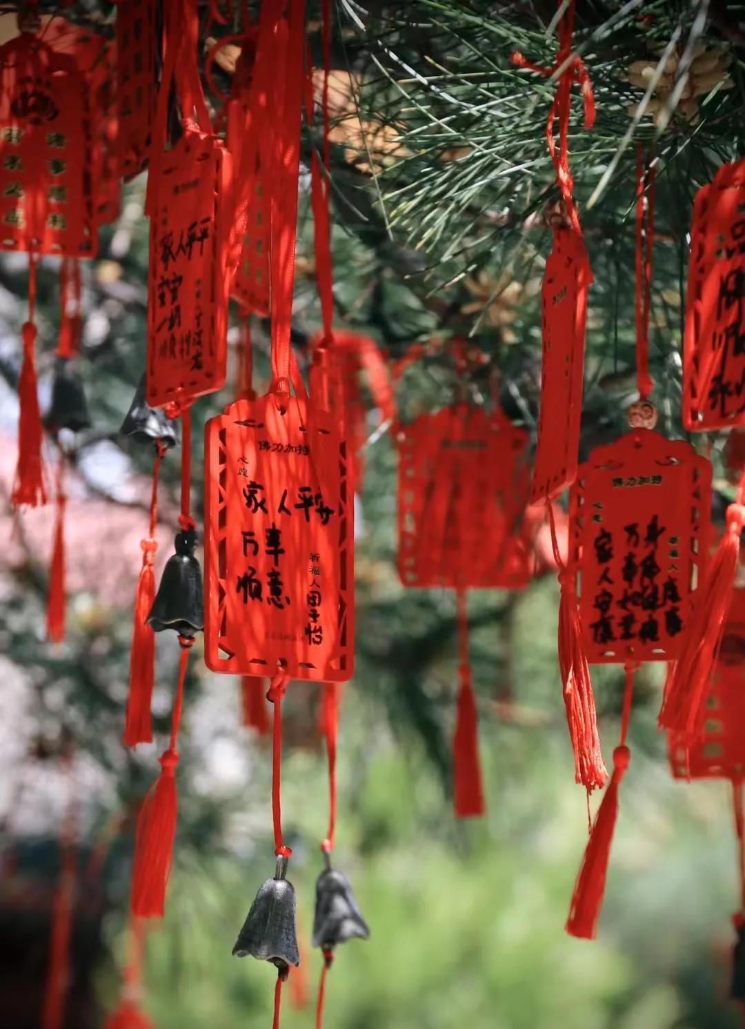 这次端午节回不去老家了，妈妈问我回不回，我说没休息，请不了假。实际情
