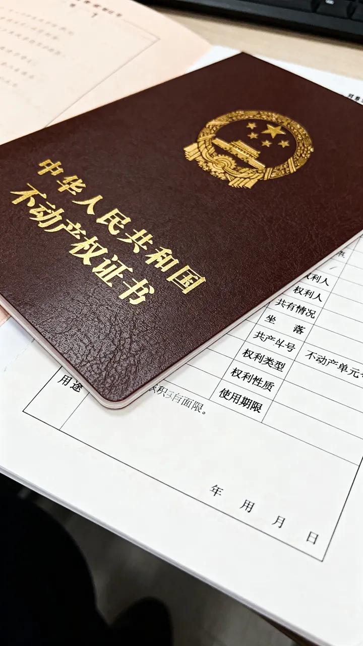 我和老张结婚30年，他居然背着我，把家里那套老房子偷偷过户给了他初恋的儿子。