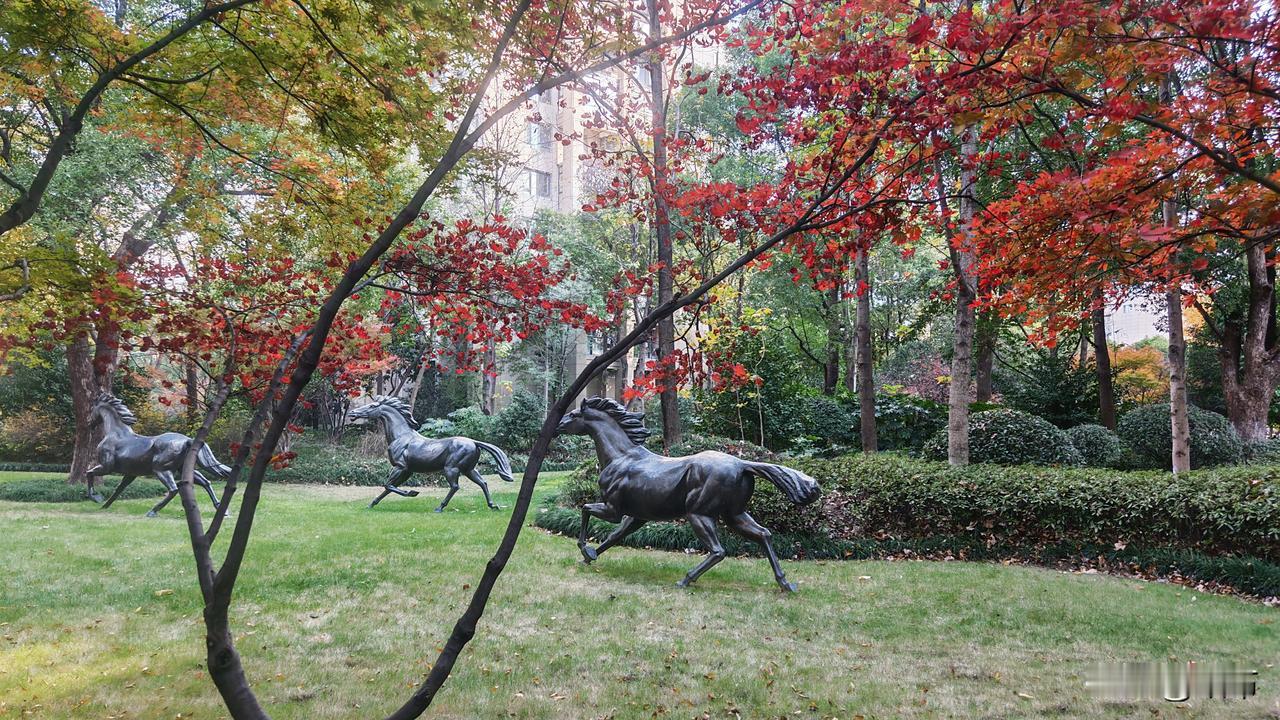 南方人从来不开热空调，这话我有点不信。为啥不信呢？因为今年不是打算在杭州买房吗？