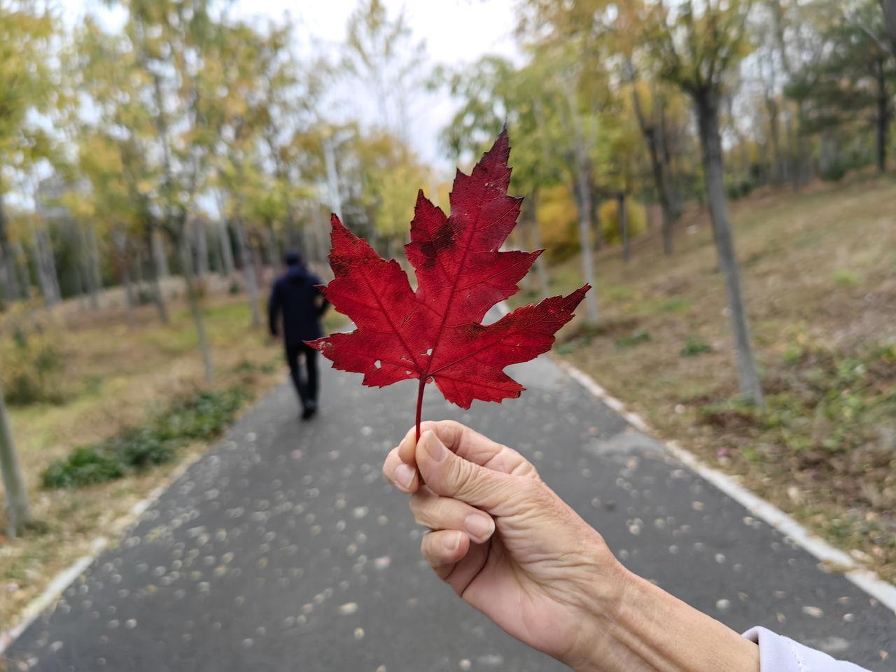 1.深夜书房你加班至深夜，揉着发酸的眼。他推门进来，无声地放下一杯温热