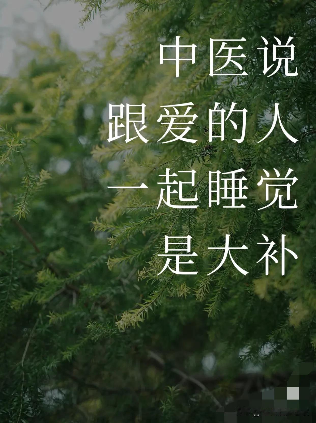 爱之补中医说跟爱的人一起睡觉是大补我想那补的不是身是漂泊的心有了归