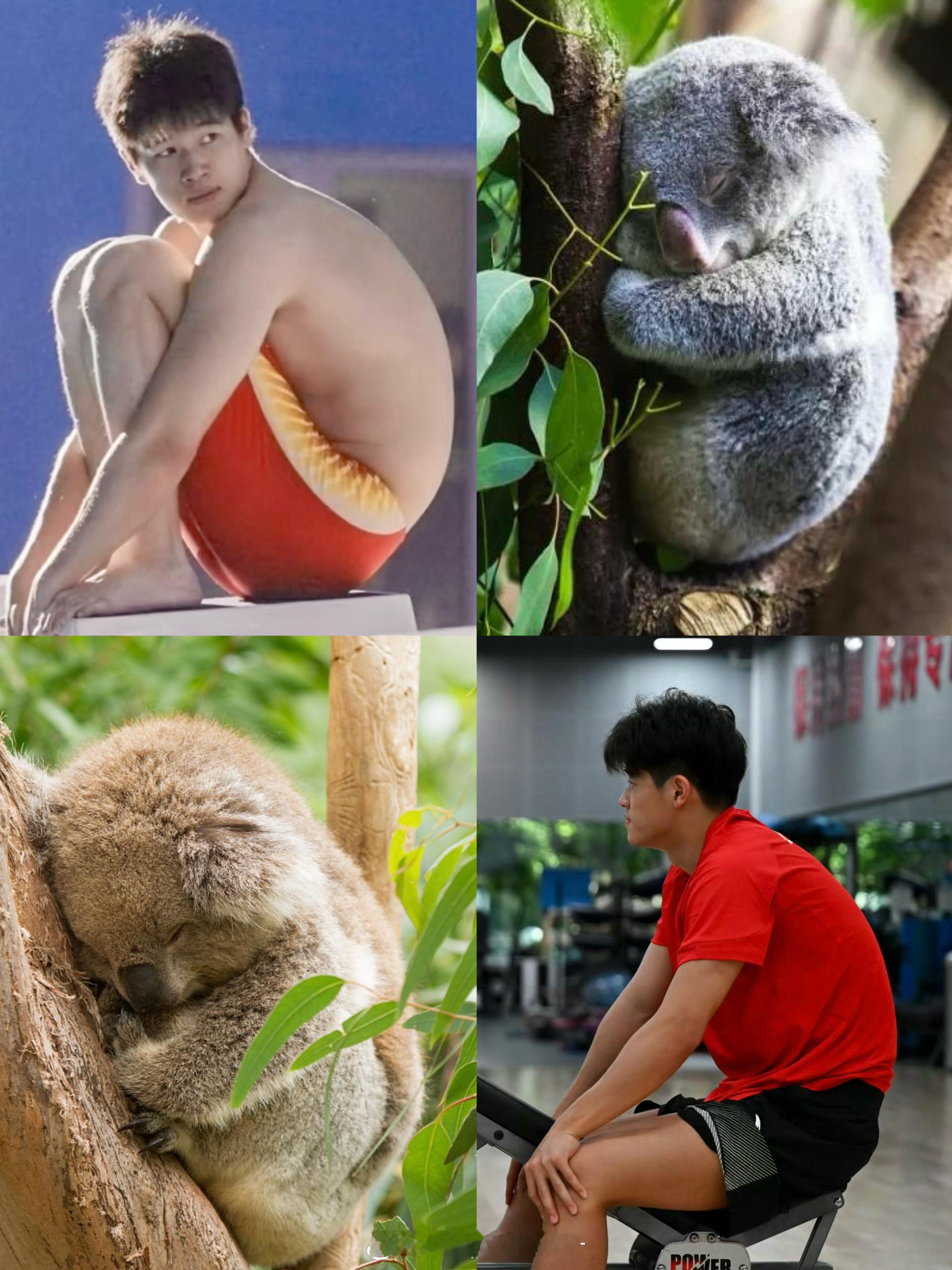 “潘展乐力量很强，背部微微圆拱。这不是驼背，这种身体结构对游泳有利，能给他带来更