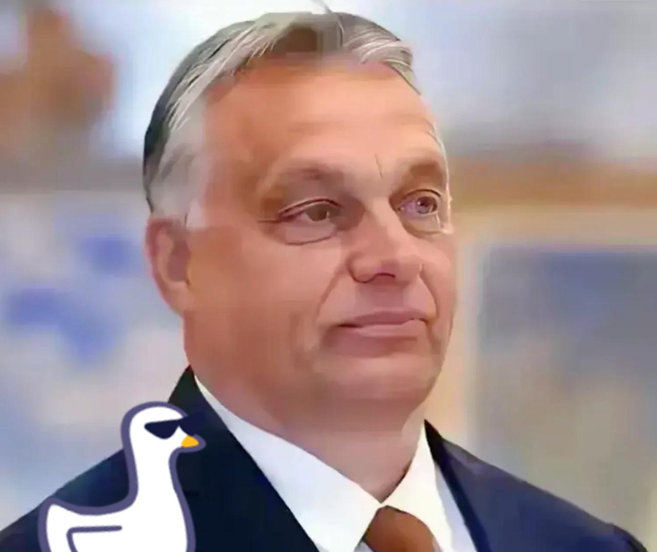 就在刚刚匈牙利总理公开宣布11月4日，匈牙利总理欧尔班在社交媒体公开宣布：匈