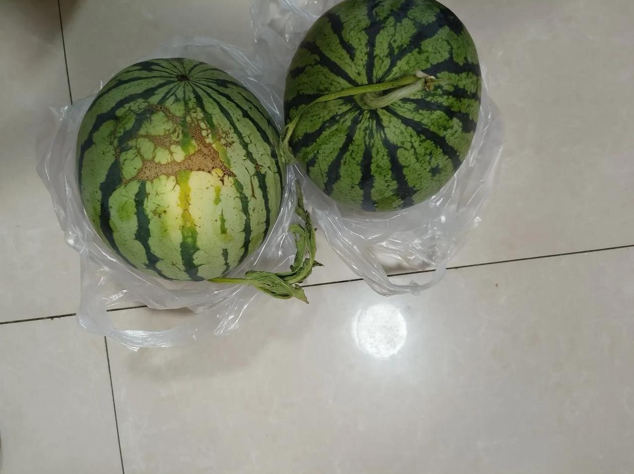 我买西瓜就喜欢买3斤半左右的小西瓜，因为平时家里就老公和我2个人，太大的西瓜一顿
