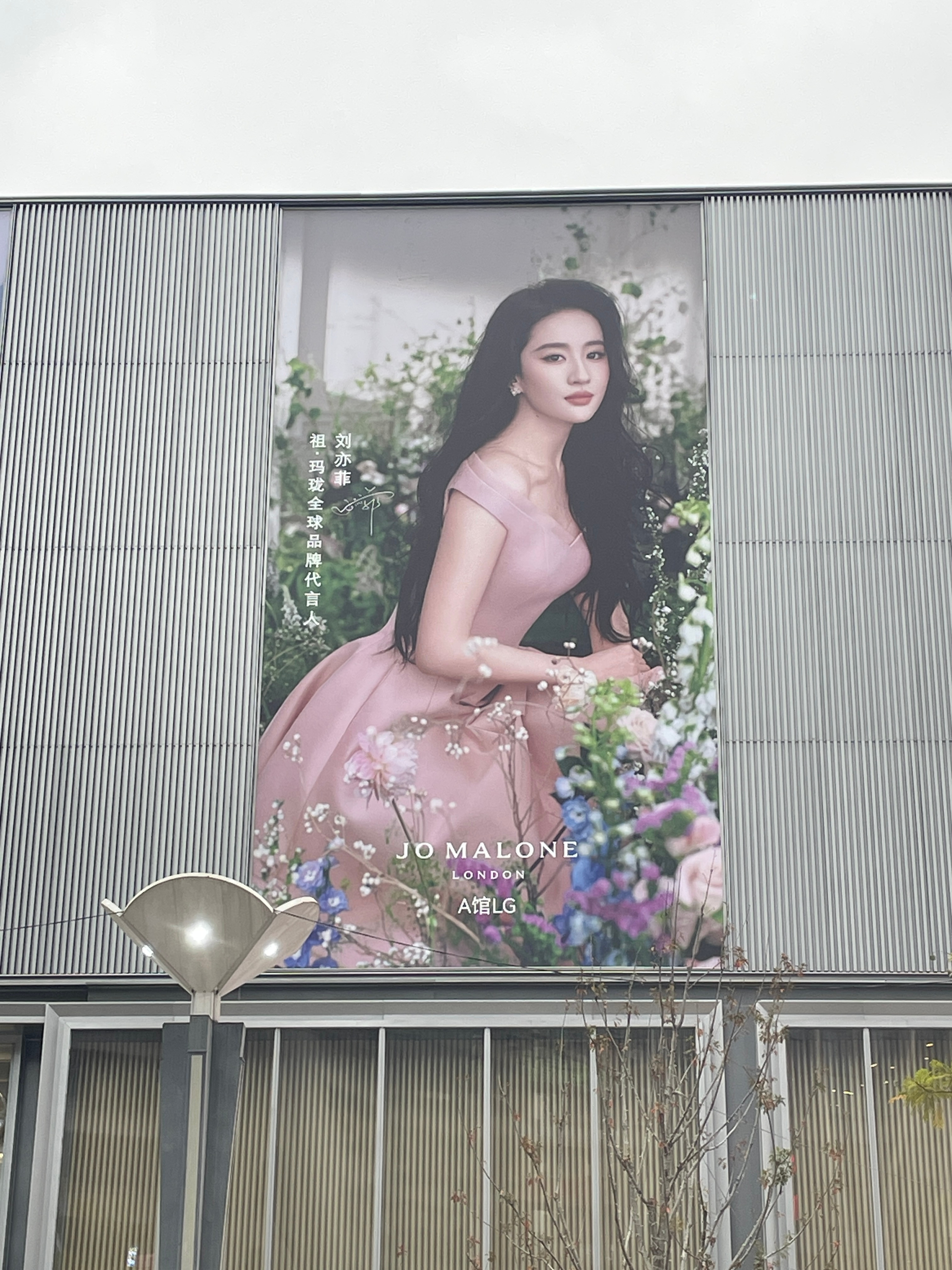 祖玛珑这地广让你铺的