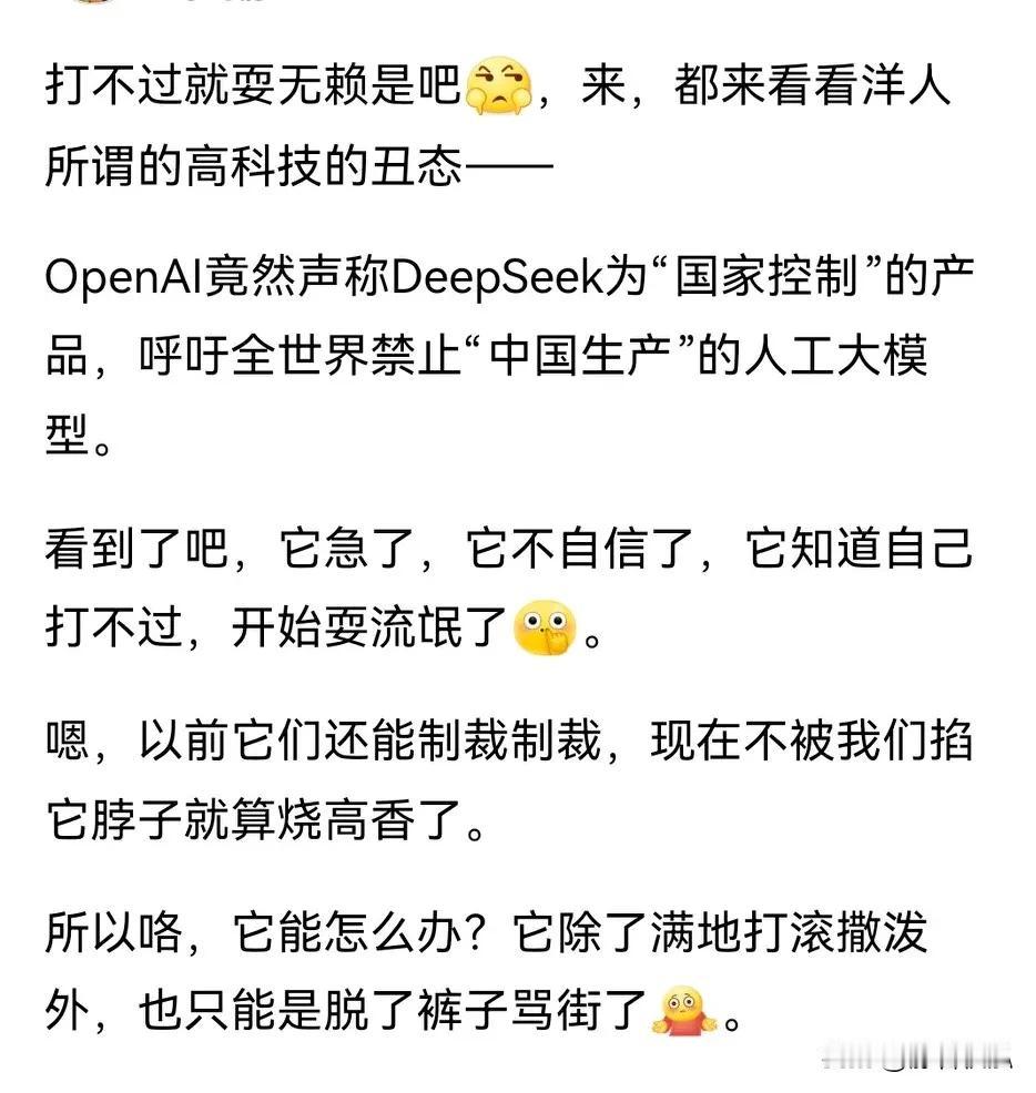 美国幻想通过绝对领先的高算力芯片和大模型技术，垄断人工智能服务业，向全世界赚取高