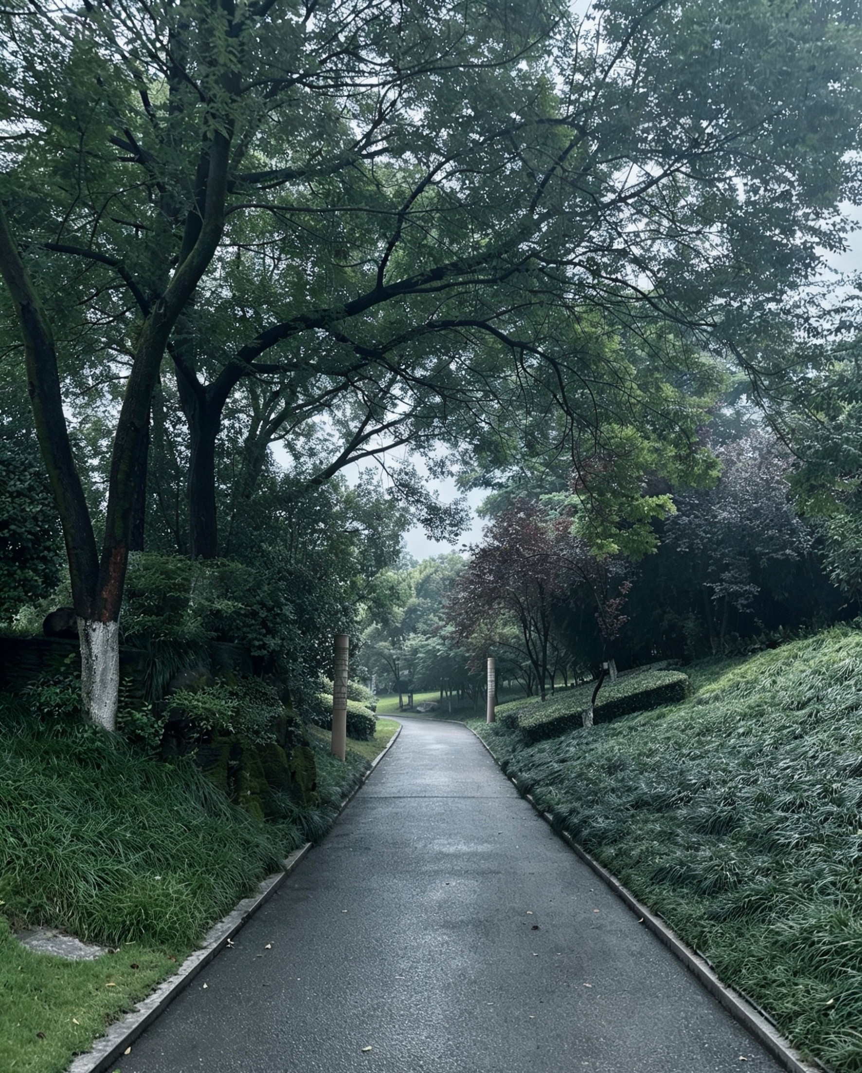 「叮🔔晨跑卡」🕑5:25｜🌡️20°C｜🏃♀️10k早安❤️不下
