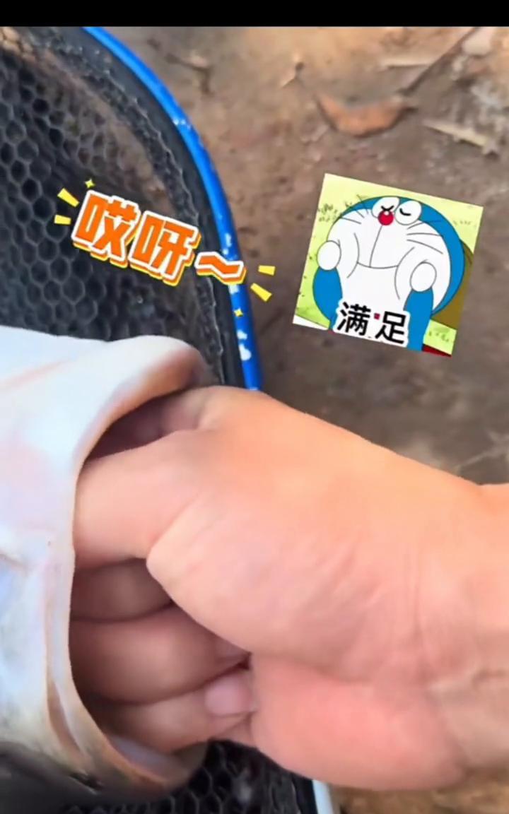 看一下，张开，满足。空气安静得让人窒息。