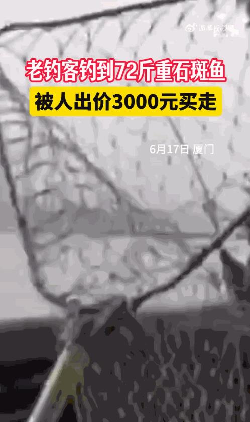 “这就是命啊！”6月17日，福建厦门，一男子冒雨在河边钓鱼时，竟钓上来一条72斤