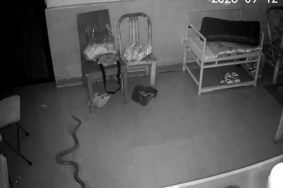 据宁波晚报转述的一段真实监控显示：9月12日深夜11点21分，门窗紧闭的老人家中