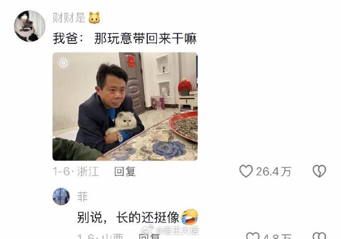 🐱猫猫：你只管带我回家，剩下交给我