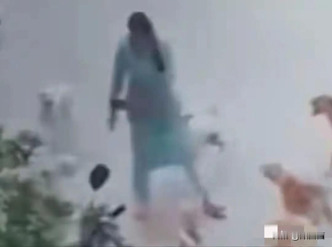 女大学生被流浪狗咬伤20余处，这次狗没被打死，爱狗人士都去哪了？事情发生在