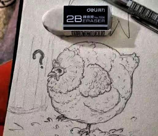 事情是这样的：一个小女孩把鸡画得太圆太肥，被美术老师评判不合格。家长看到孩子