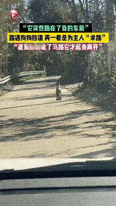 科学也解释不清了！近日安徽广德，女子跟老公开车回家时在路上遇见了一只双腿站立行走
