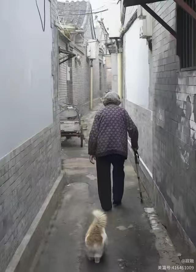 今天母亲把我们兄妹三人叫到一起，郑重其事的说，妈过了年就87岁了，今天告诉你们，