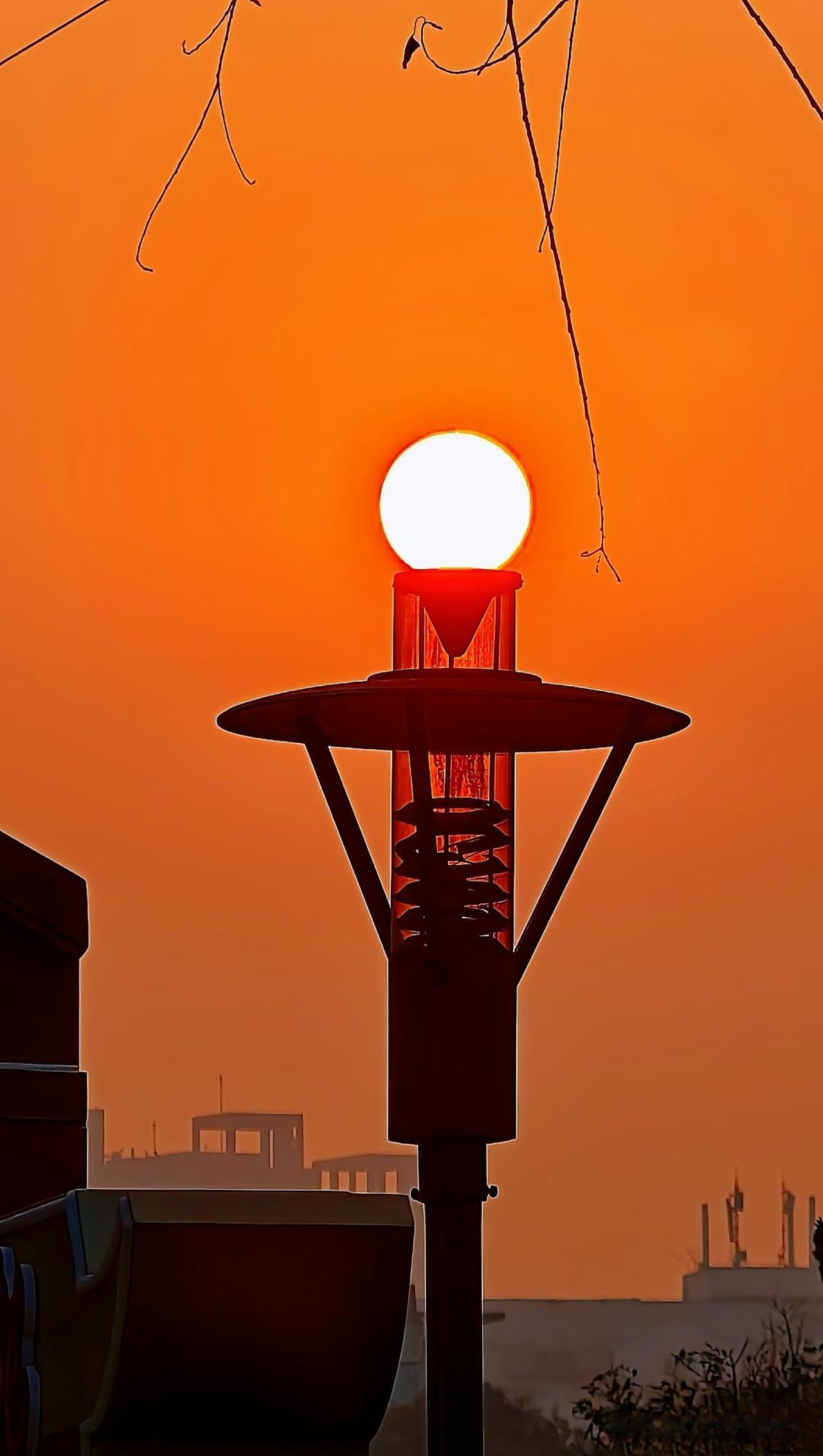 世界上最好的12个免费“长寿医生”！不花一分钱，活到九十九1、午睡中午