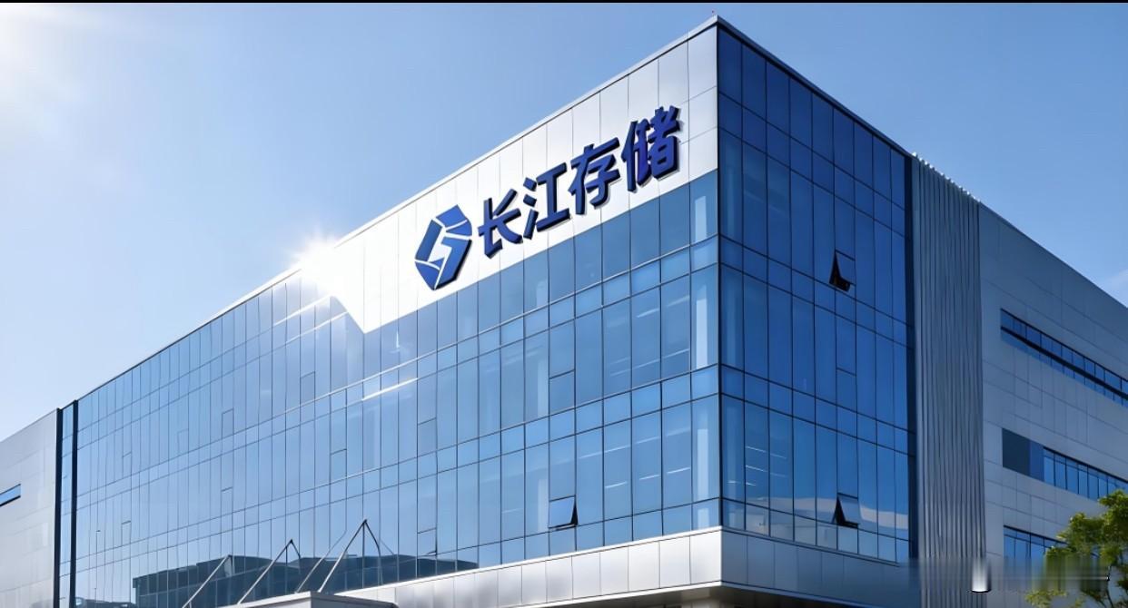 比华为还赚钱你上市来干啥呢？很多人在讲宇树上市能理解，一年就那点利润不够用嘛！