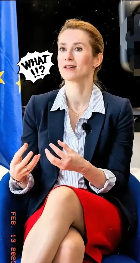 终于反应过来了！欧盟外长卡拉斯公开“开炮”美国7月15日，欧盟外交与安全政策高