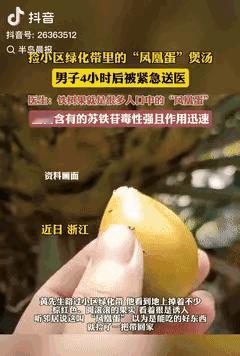 胆子不是一般的大！浙江，一男子路过小区绿化带时，发现地上有很多果实，听邻居说是“