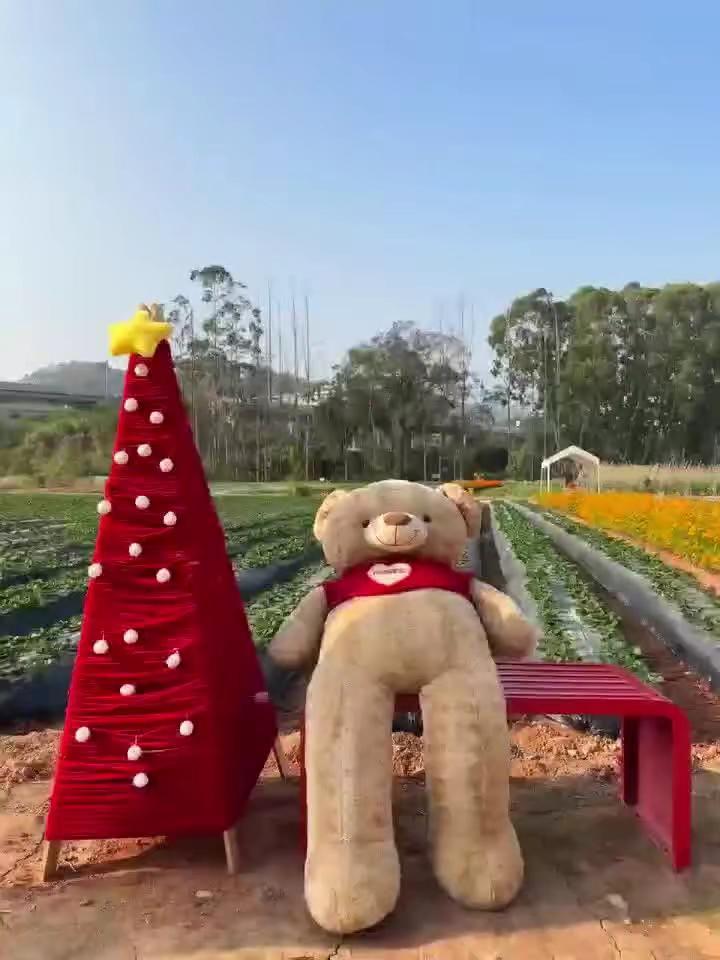 我想听你的回答，又害怕你的回答