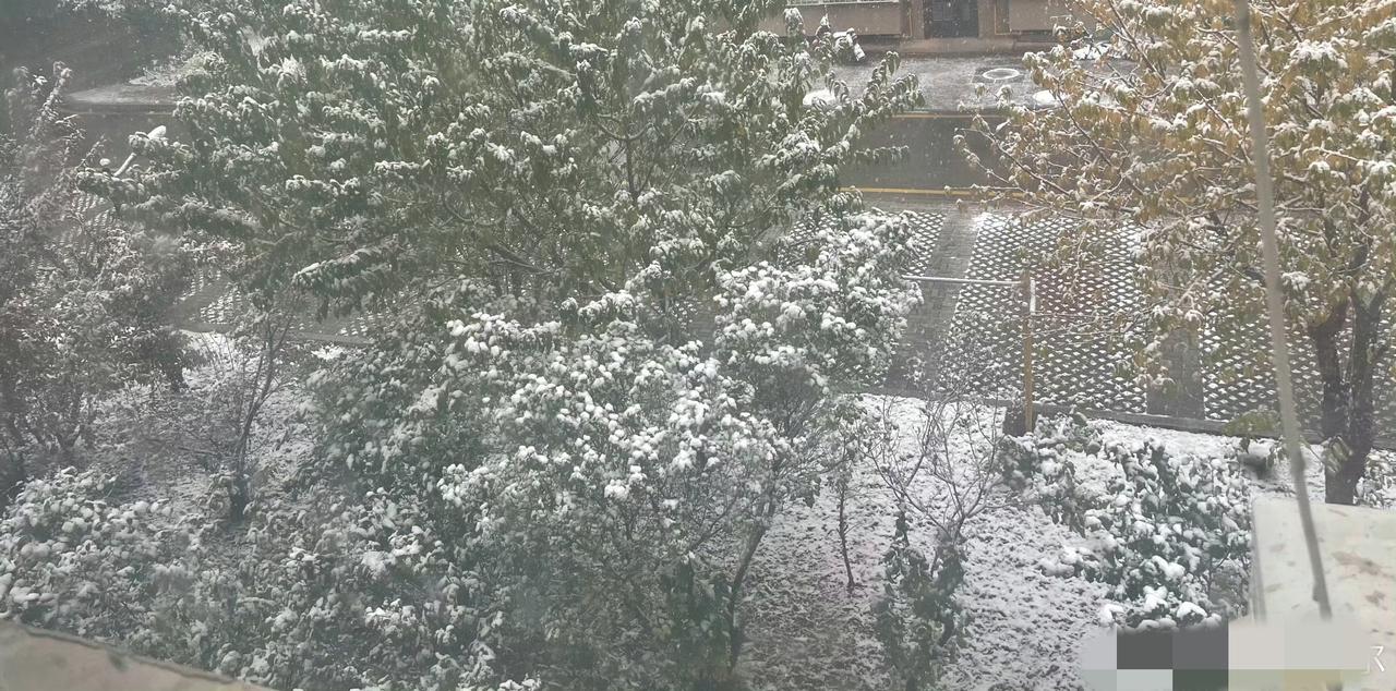 哈尔滨凌晨飘雪！南方人喊着要来，本地人：我的“出溜滑”DNA动了家人们！哈