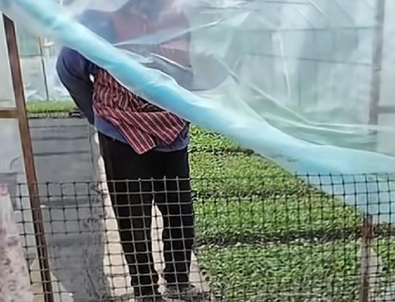 就说现在的部分农村人到底有多坏四川泸州。一位网友在平台上发布了一条视频，自己父