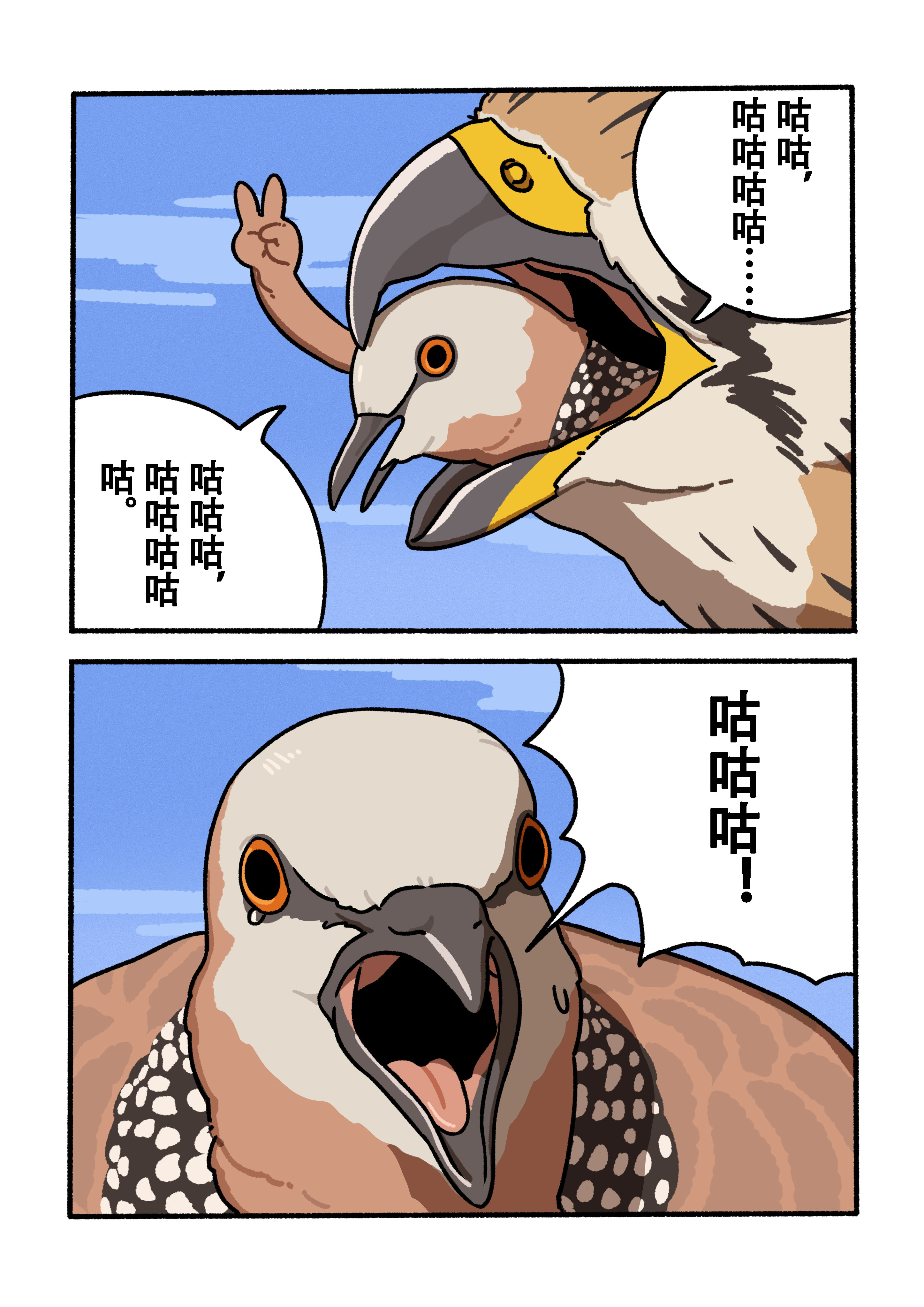 再见了，所有的珠颈斑鸠⋯