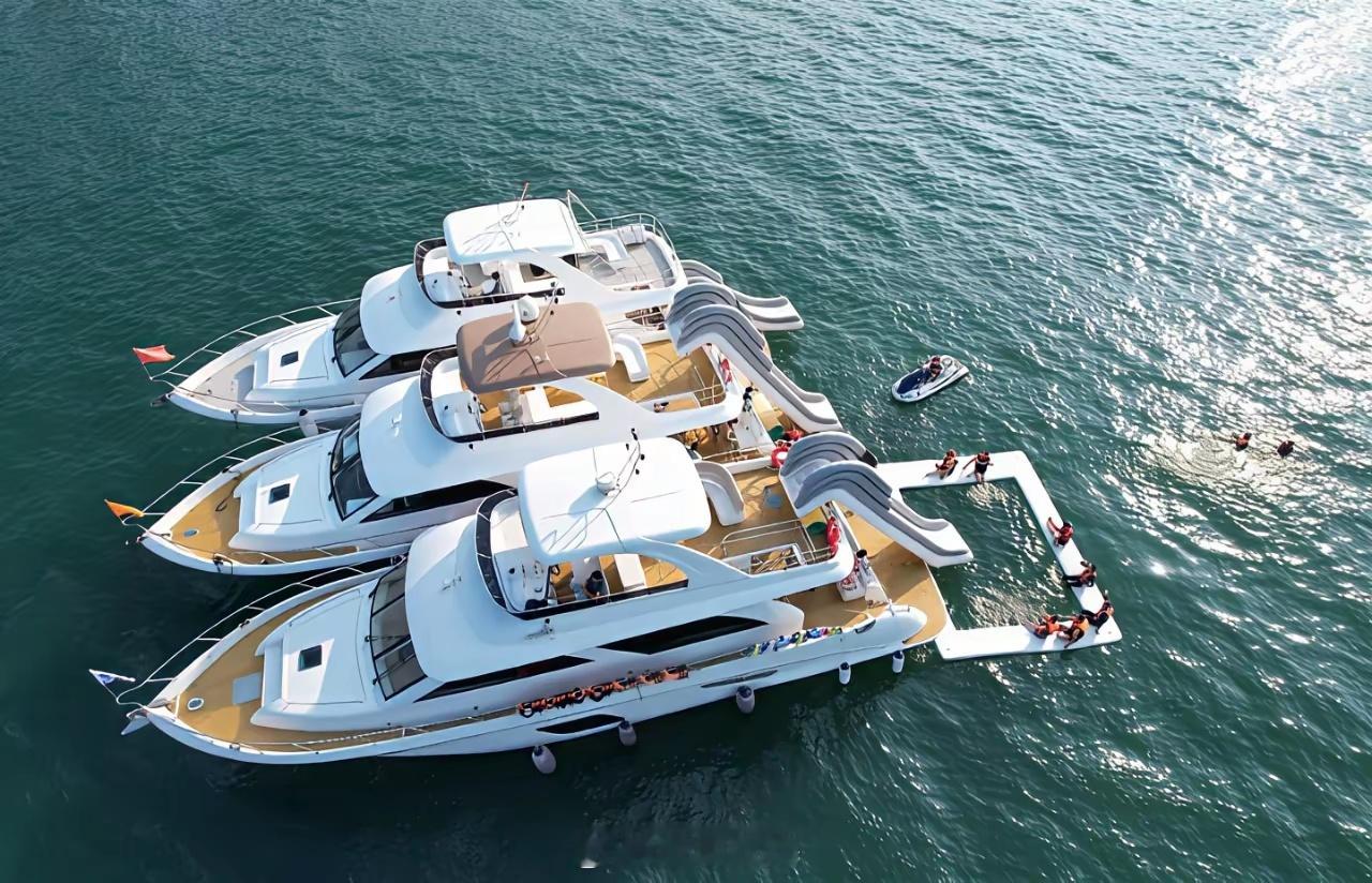 京东刘强东突然说要个人拿50亿进军游艇制造。自创品牌名字叫做SeaExpand