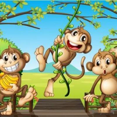 生肖猴与十二生肖友谊关系完整版｜谁是知己，谁是过客属猴的人通透机灵、活泼