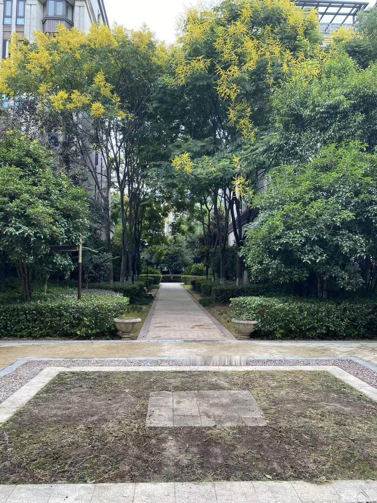 真相，唯有真相才能解除疑惑，二八换子事件，虽然有某宣，有点赞委求赞，有三常敲定是