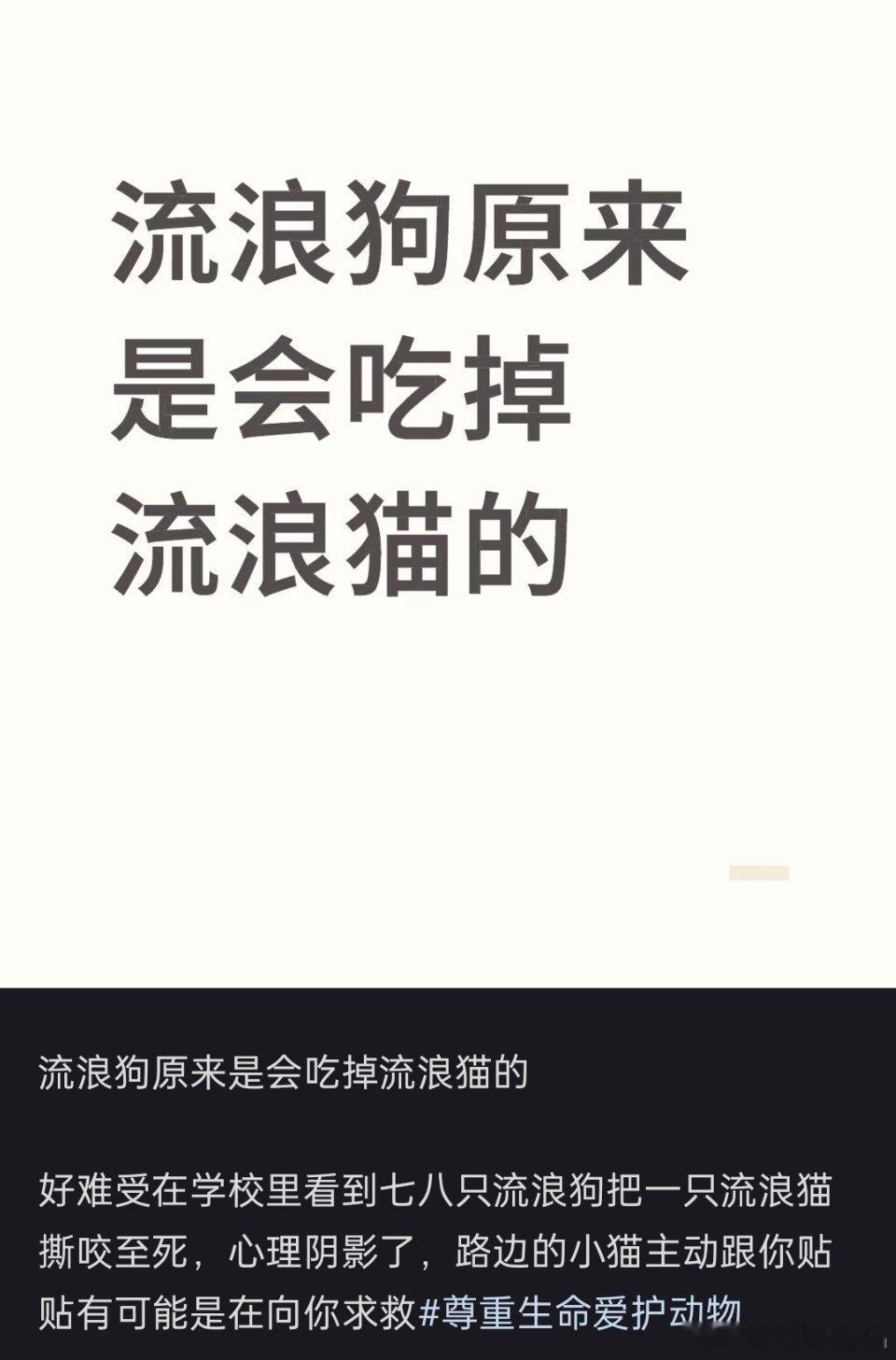 “流浪狗原来是会吃掉流浪猫的”​​​