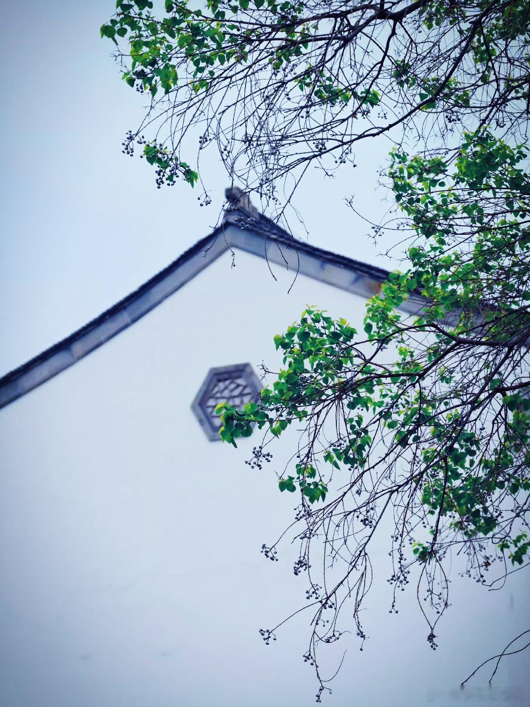 用眼睛寻找美丽摄影中的空间布局：不同形式的框式构图，会带给人不一样的视觉……江