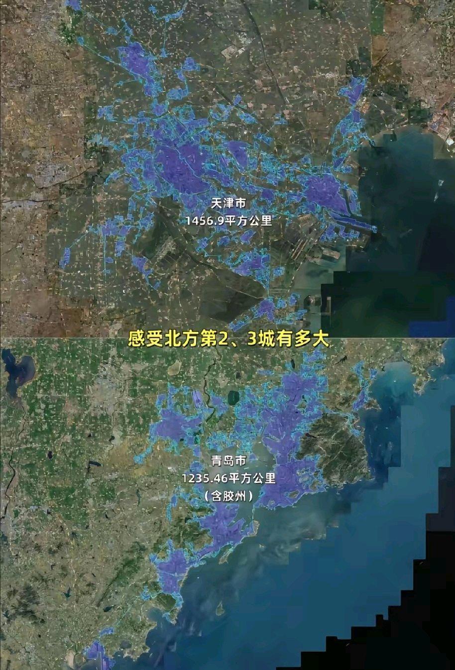 青岛填湾3成追平天津建成区！总有人说青岛成不了超大城市，可你知道这几十年青岛