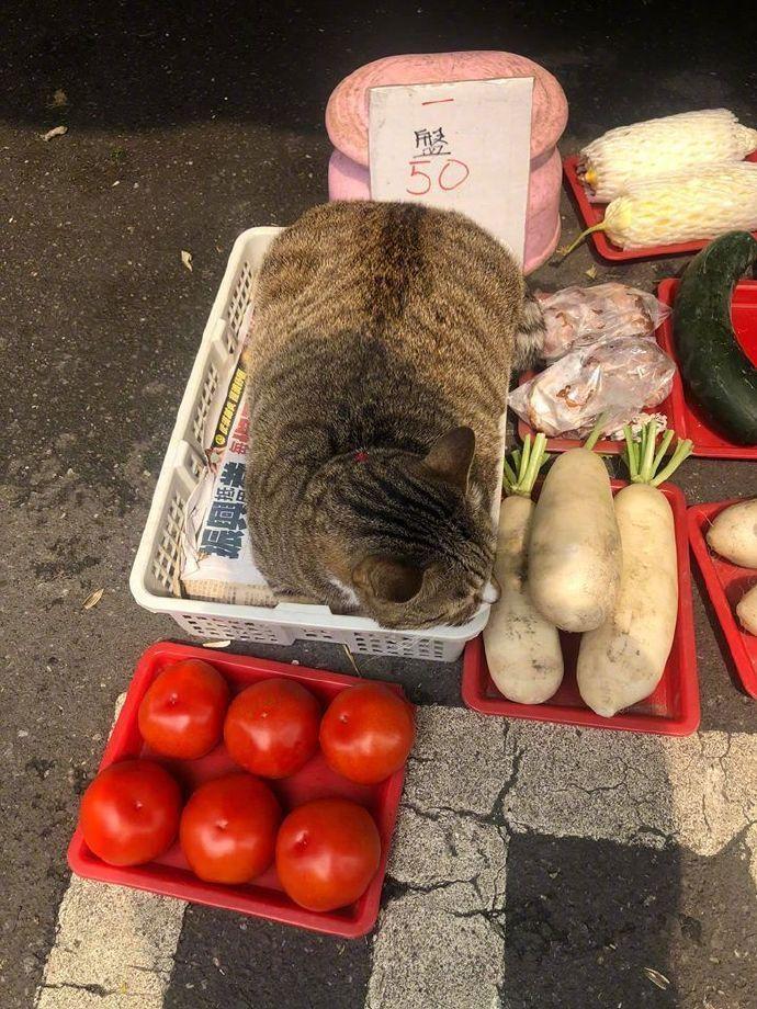 50一盘，良心卖家...