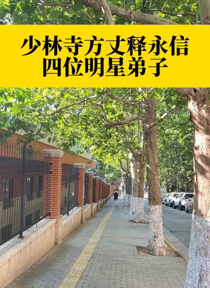 少林寺方丈释永信四位明星弟子。·1、释小龙：法名释小龙，两岁拜师，知名功夫明