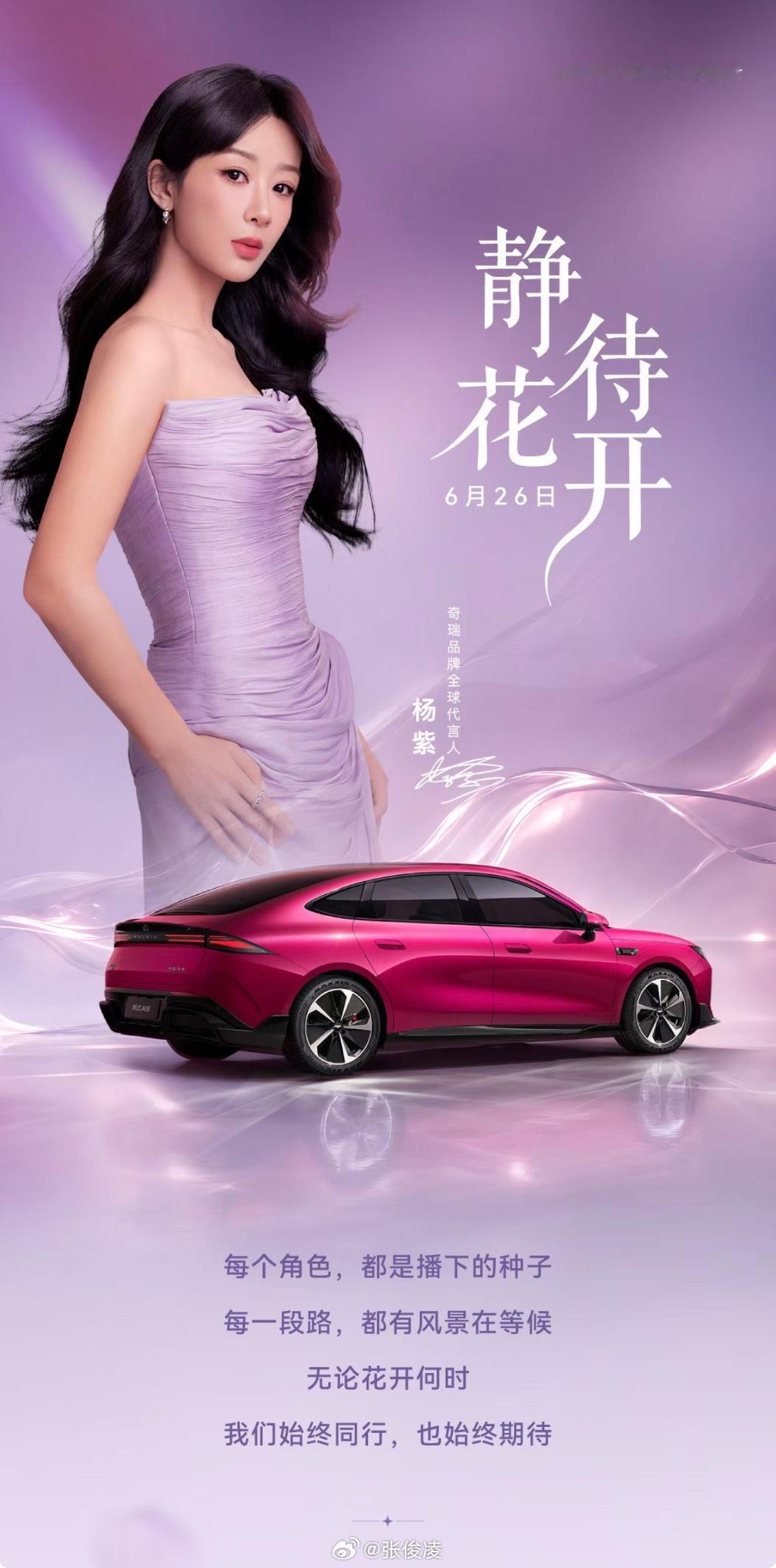 杨紫是奇瑞的品牌代言人这都知道吧，还是全球的，在所有的“代言人”这种类型里属于级