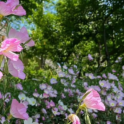 0000心有微光，不惧路长；脚踏实地，默默耕耘。放下内耗，专注成长，每一份付出都