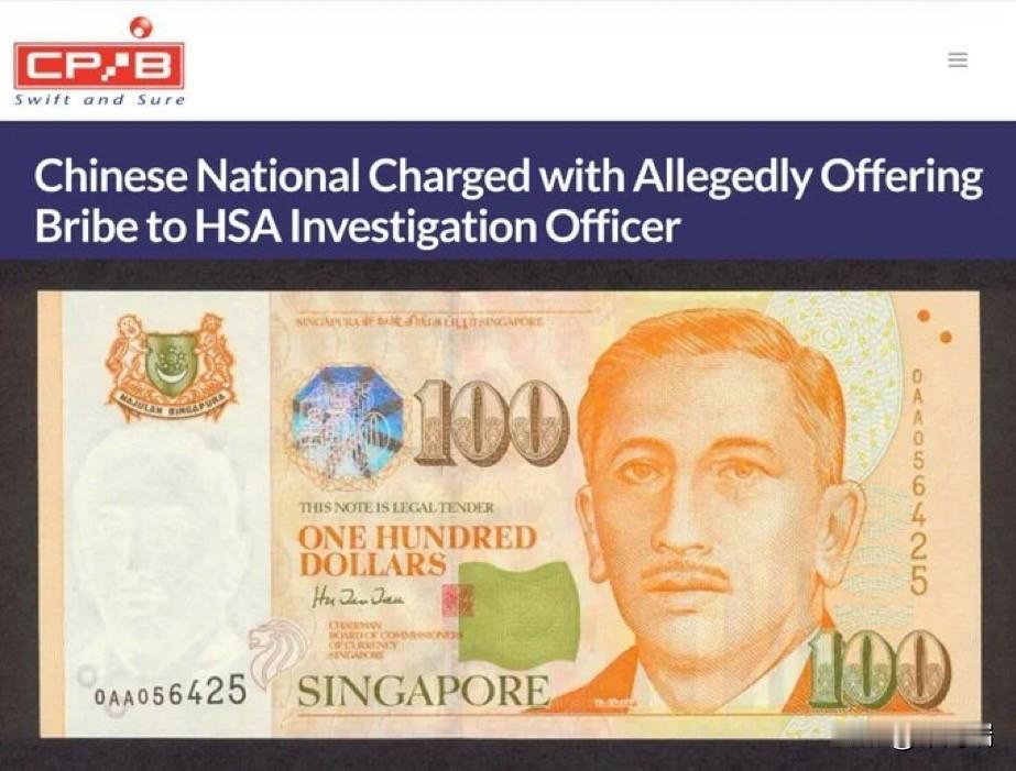 一名持旅游准证入境新加坡的中国女子王泗玲，5月14日被正式起诉——罪名是向卫生科