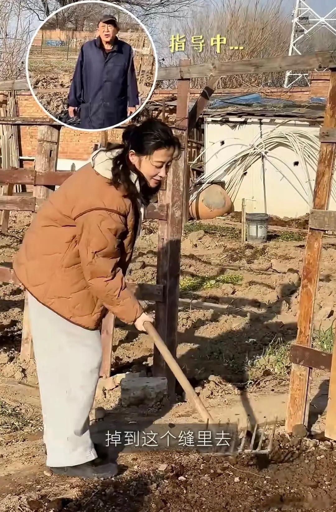 梅婷去菜园子帮公公干活，春天到了开始翻地，种小白菜，老爷子用羊粪上肥料，给家里两