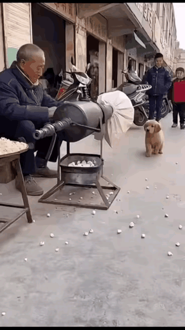 狗：卧操!吓死宝宝了