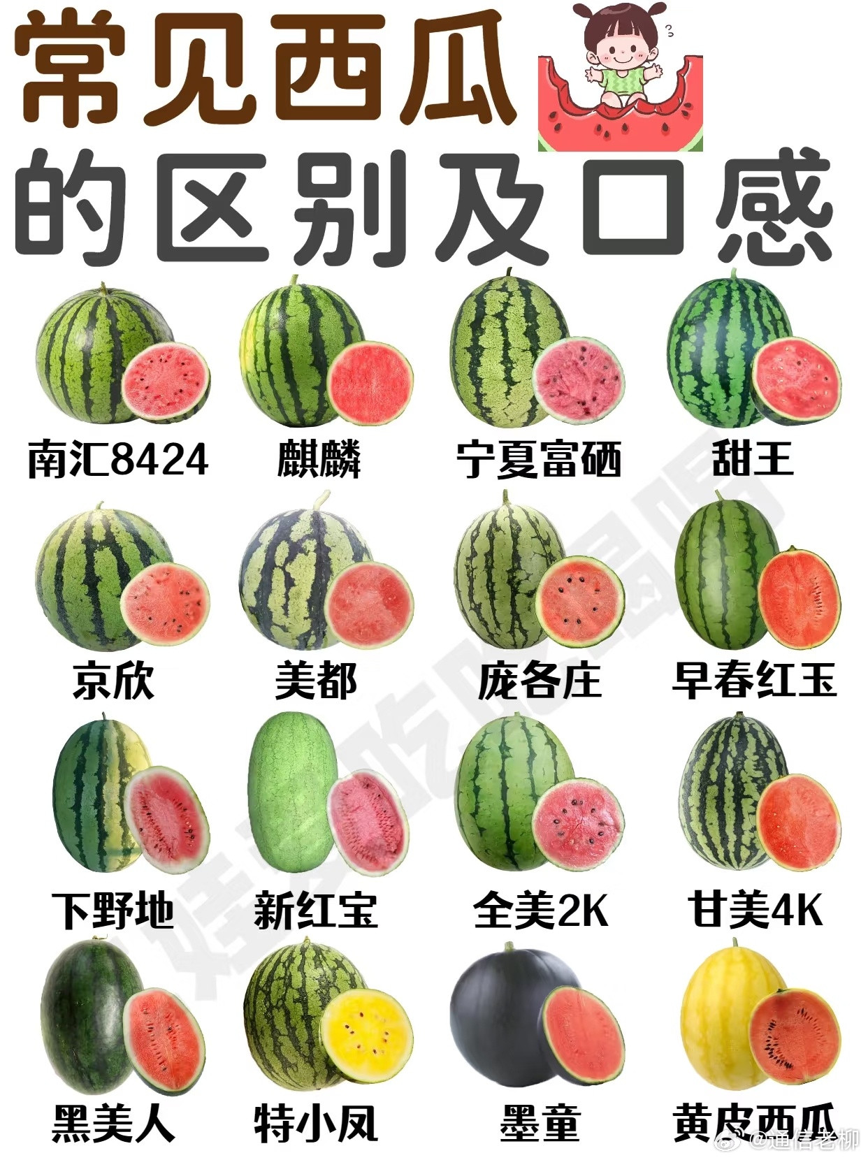 吃了这么多年，结果现在让个西瓜种类给整迷糊了…美食​​​
