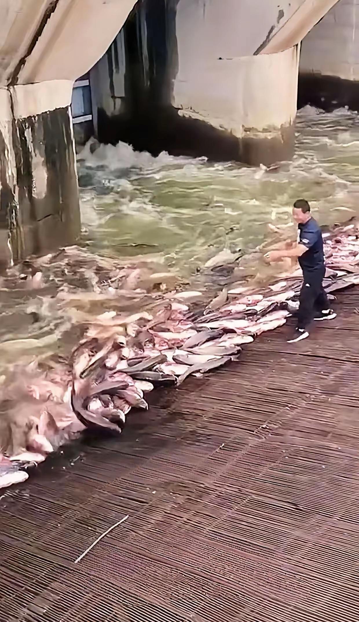 吃不完根本吃不完！意不意外惊不惊喜。