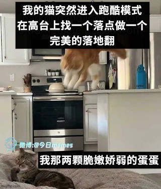 定点打击（9gag）今日meme今日memes​​​