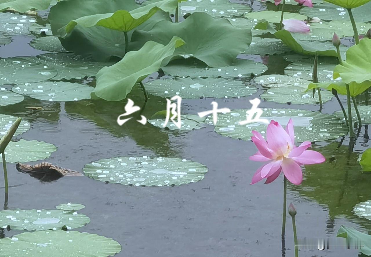 老话：六月怕十五，今日六月十五，提醒：无论多忙，六件事别犯忌讳最近全国持续