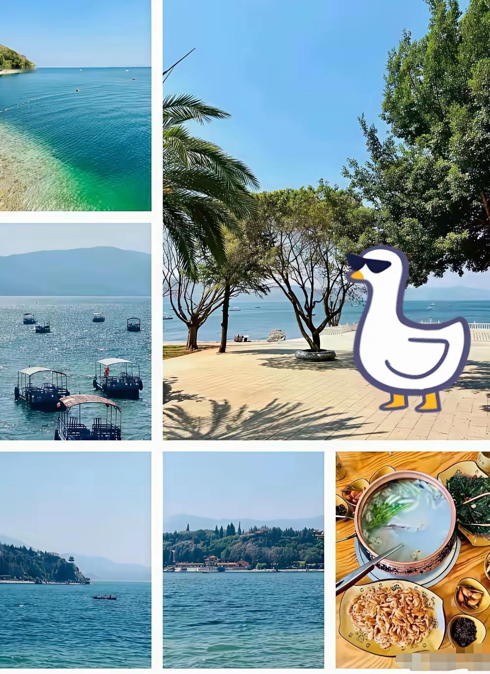 停的好！他怎么还有脸哭？看看这阵仗，这大舞台，就知道他根本不是来开演唱会那么